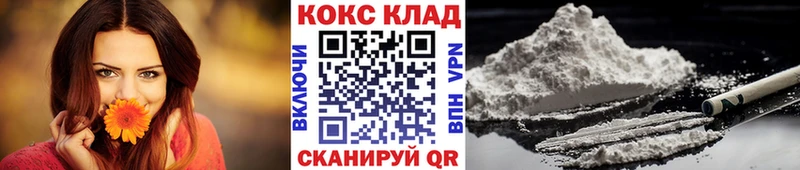 Cocaine FishScale  купить наркотики сайты  Электроугли 