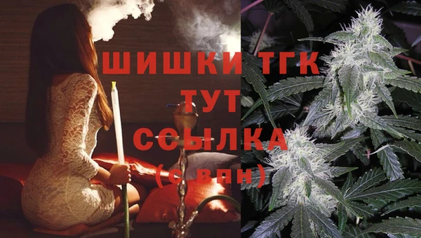 2c-b Протвино