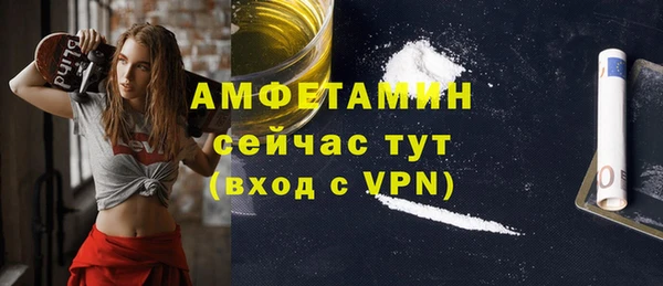 гидра Покачи