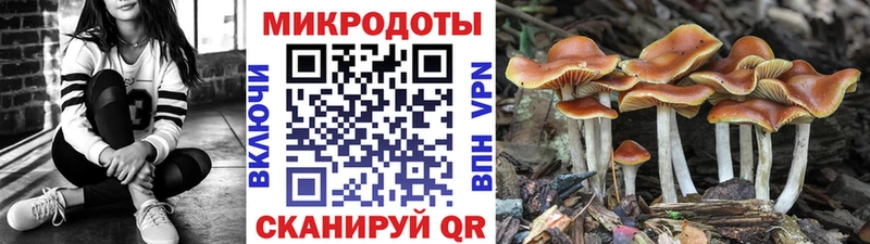 Псилоцибиновые грибы GOLDEN TEACHER  Электроугли 