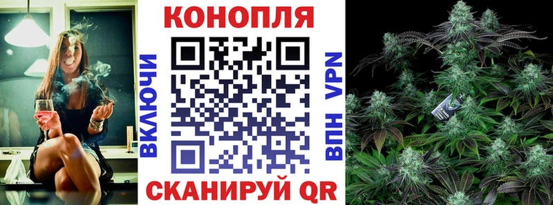 где продают наркотики  Электроугли  Бошки Шишки сатива 